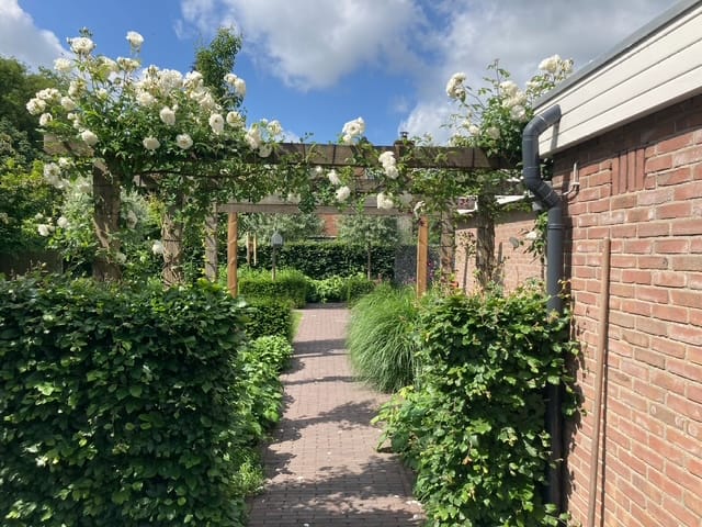 Foto 50 van Ravelijn 16