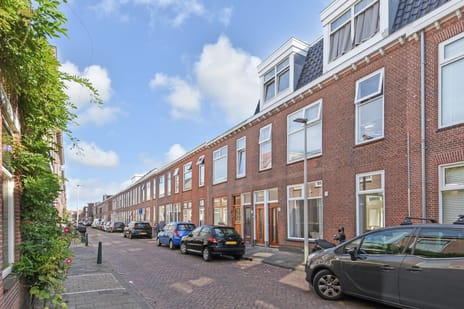 Jan van Houtstraat thumbnail