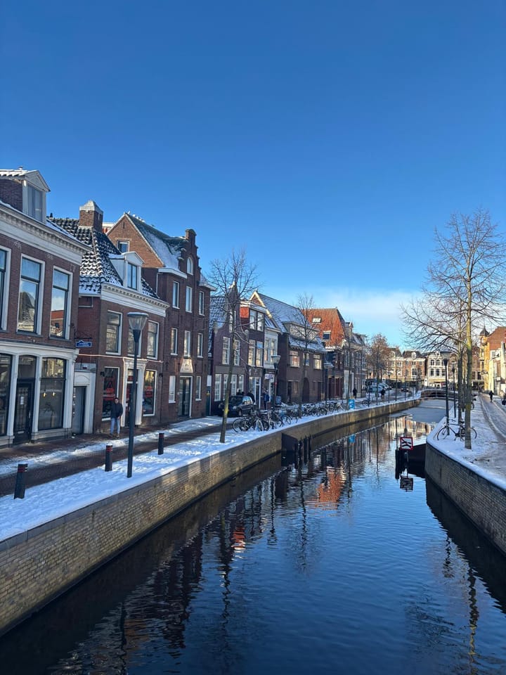 Foto 3 van Tuinen 36