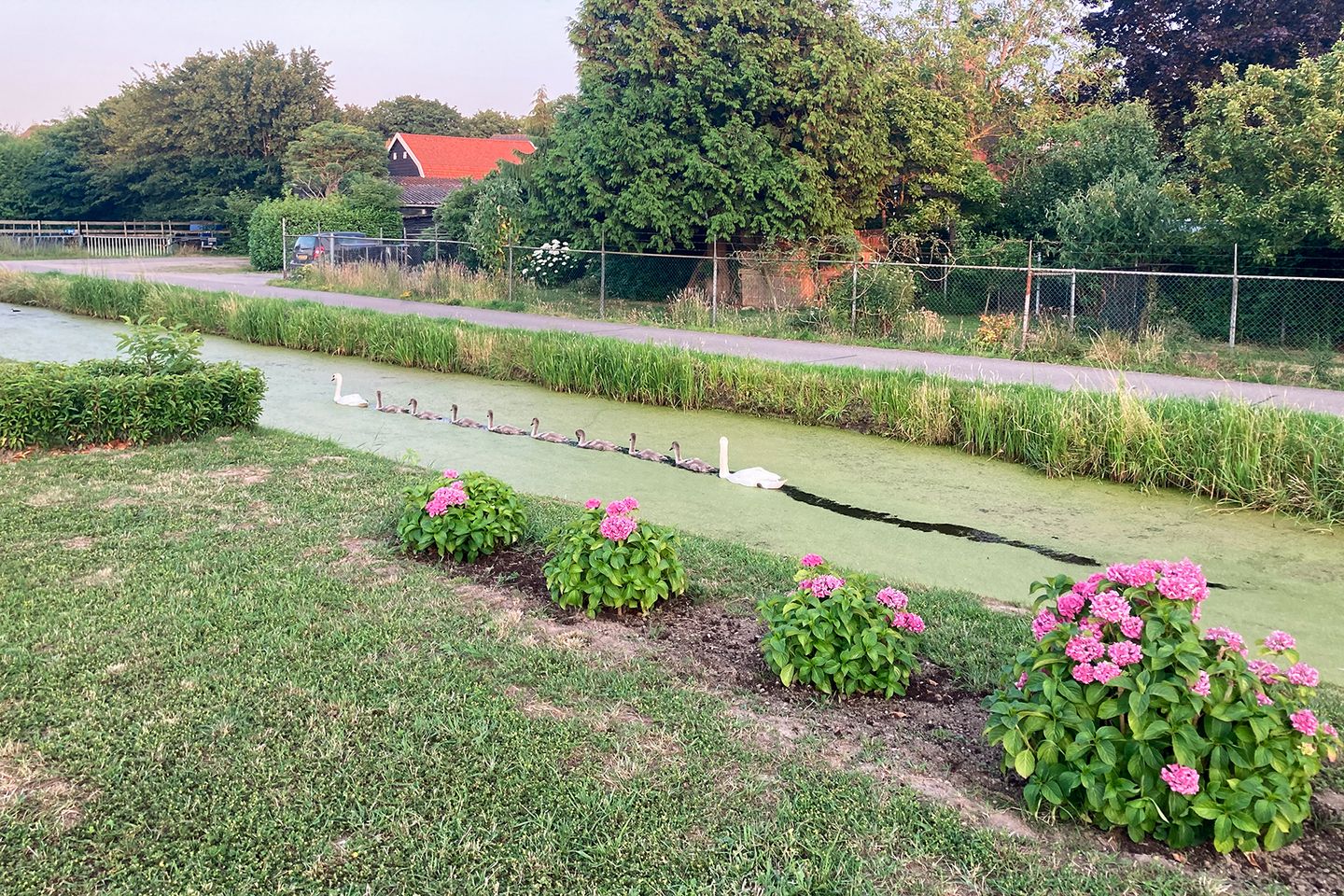 Photo 64 of 't Waaltje 1