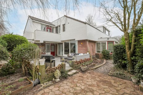 undefined main image