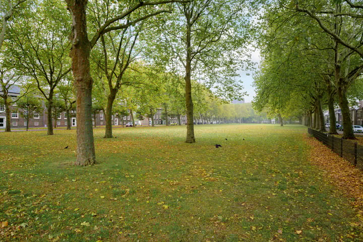 Foto 52 van Dr. Struyckenstraat 176