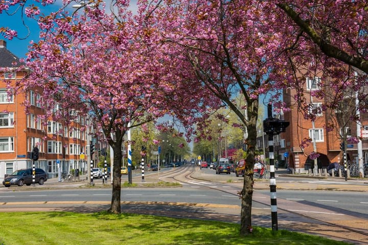 Foto 43 van Bonairestraat 67-2