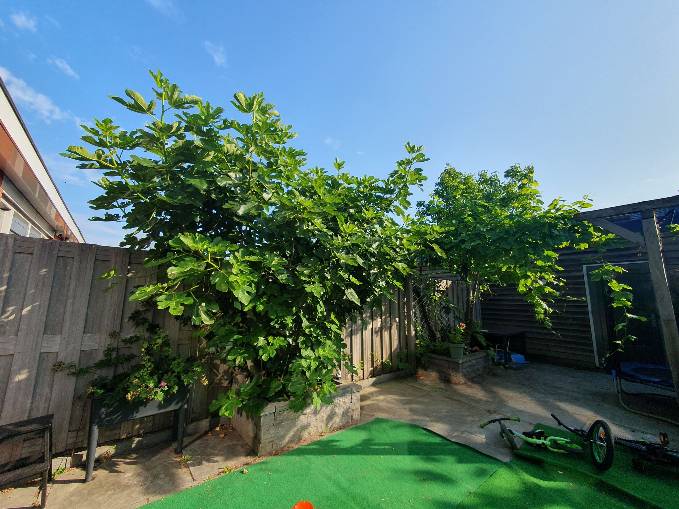 Photo 30 of Gerard Doggerlaan 61