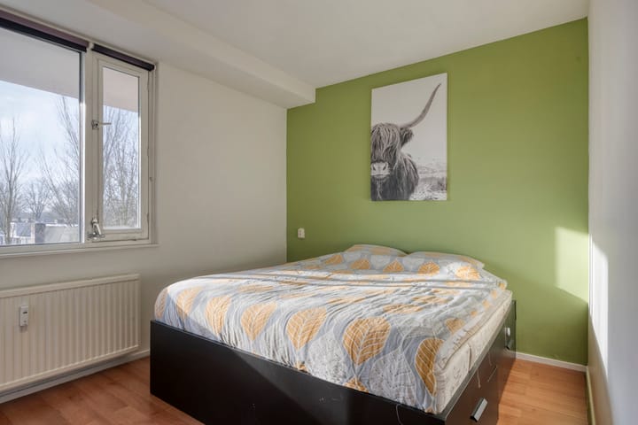 Foto 20 van Professor Cobbenhagenlaan 306