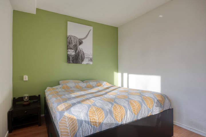 Foto 21 van Professor Cobbenhagenlaan 306