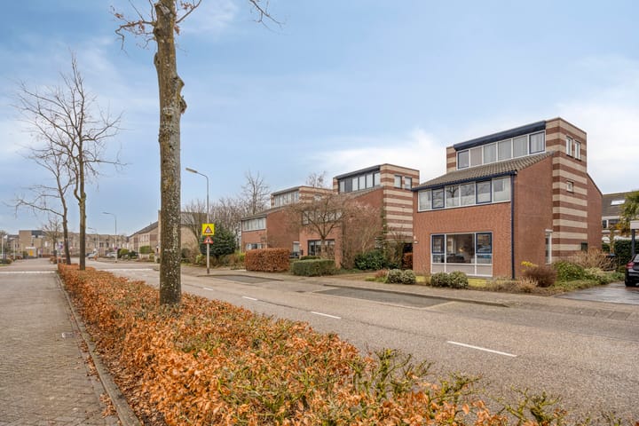 Photo 50 of Thorbeckelaan 172