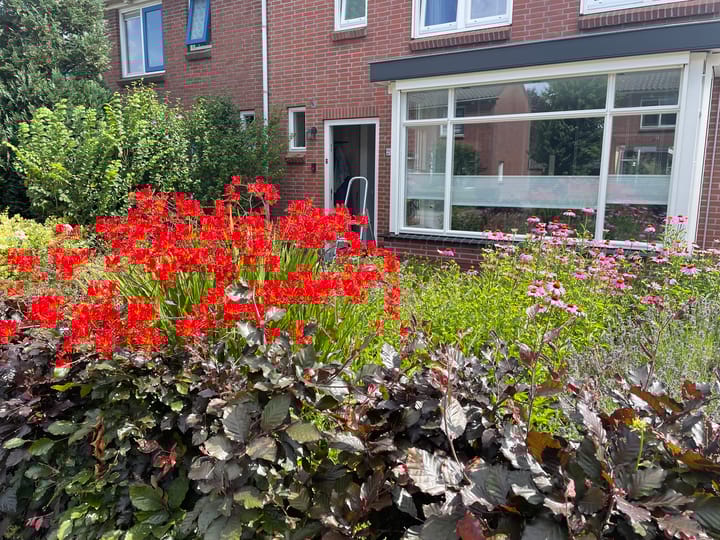 Foto 7 van Julianastraat 29