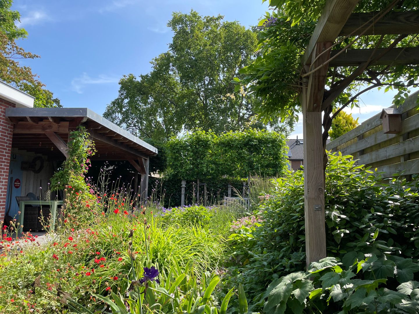 Photo 29 of Julianastraat 29