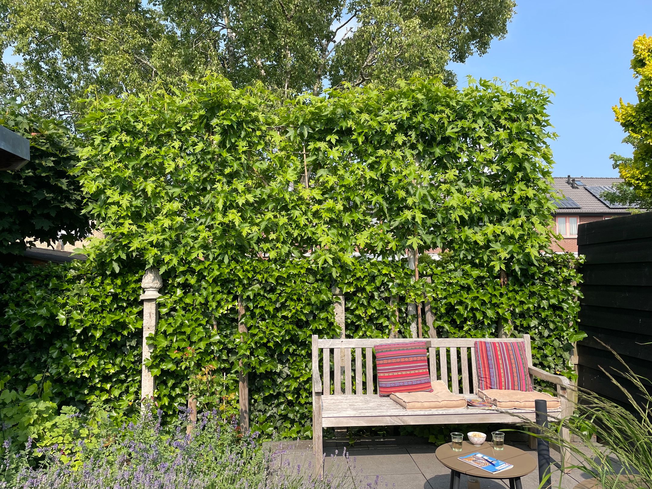 Photo 33 of Julianastraat 29