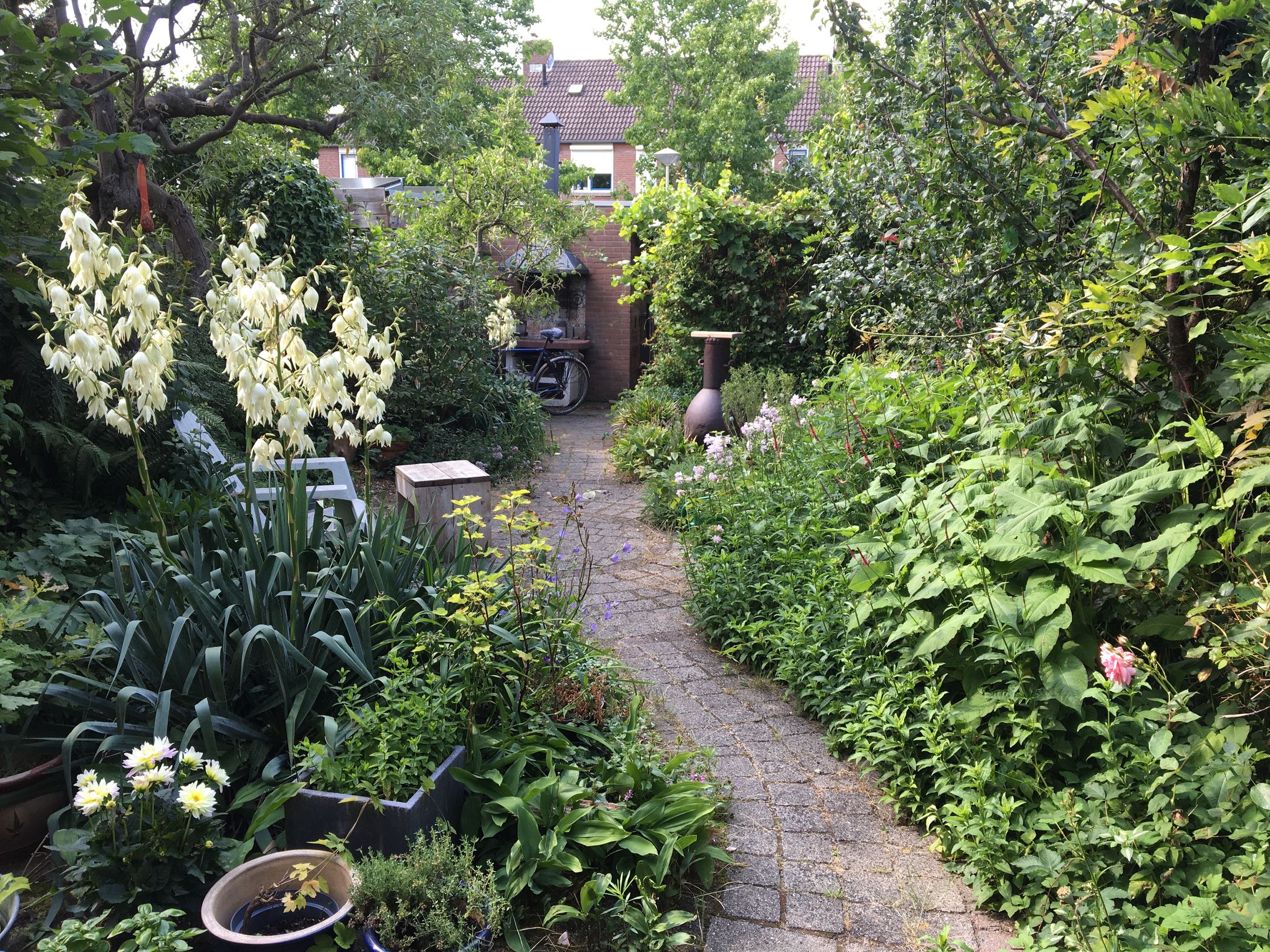 Foto 24 van De Garf 21