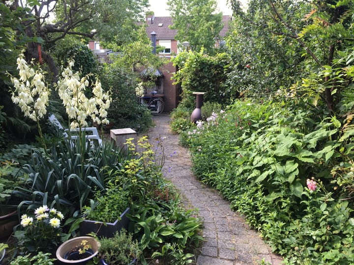 Foto 24 van De Garf 21