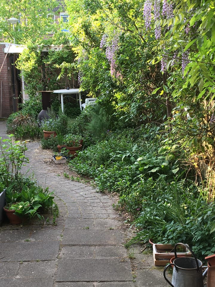 Foto 25 van De Garf 21