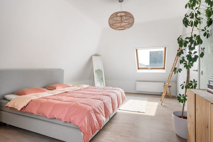 Foto 50 van Noorderbalgen 3