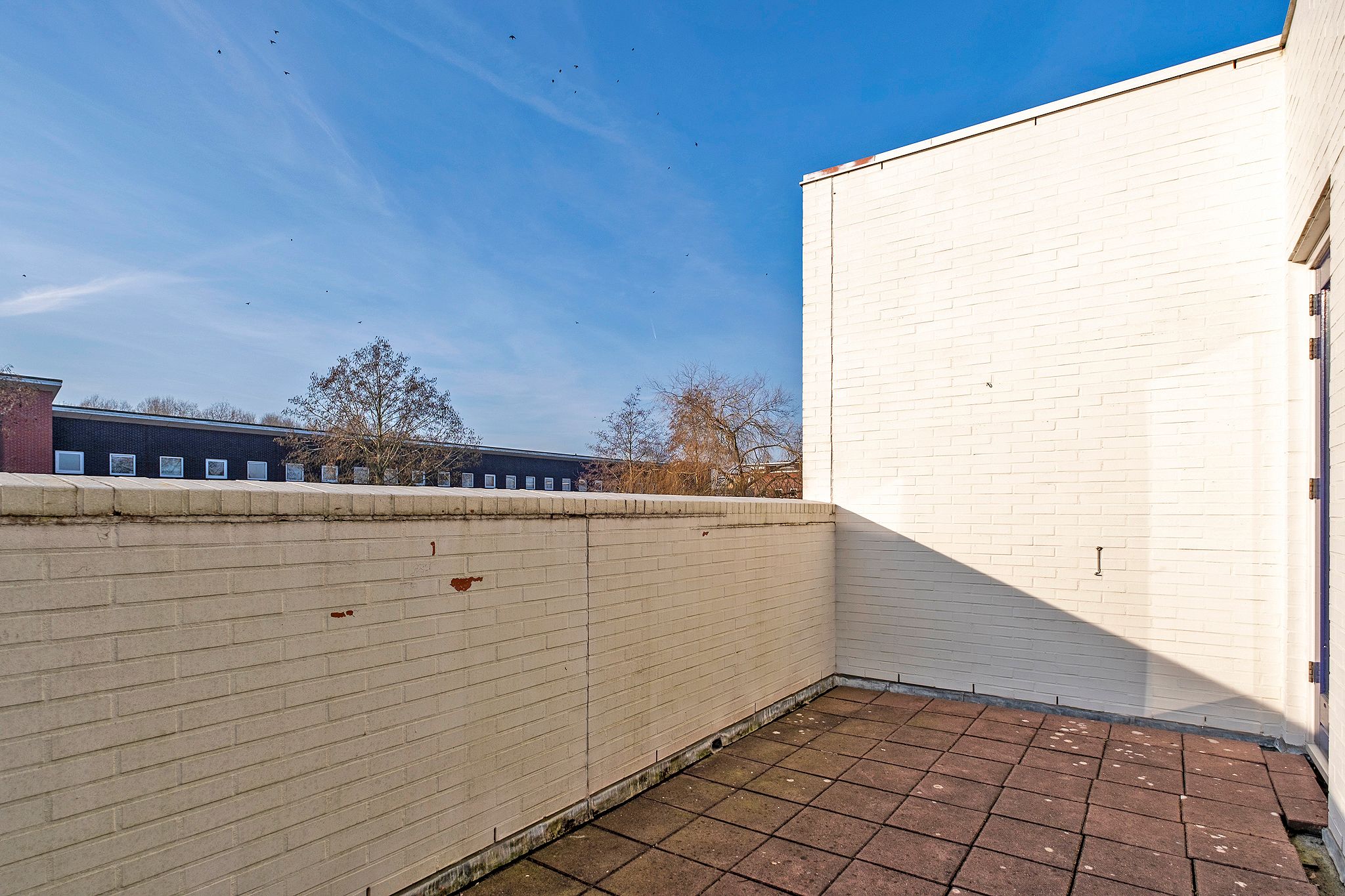 Photo 39 of Aardbeihof 9