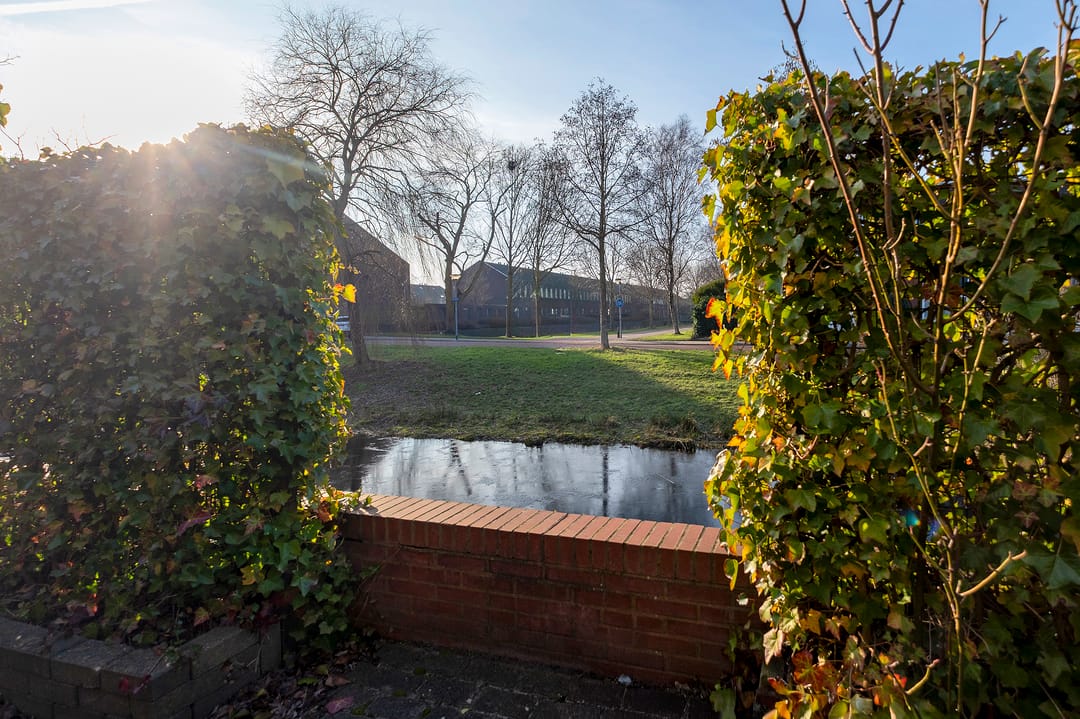 Photo 52 of Aardbeihof 9