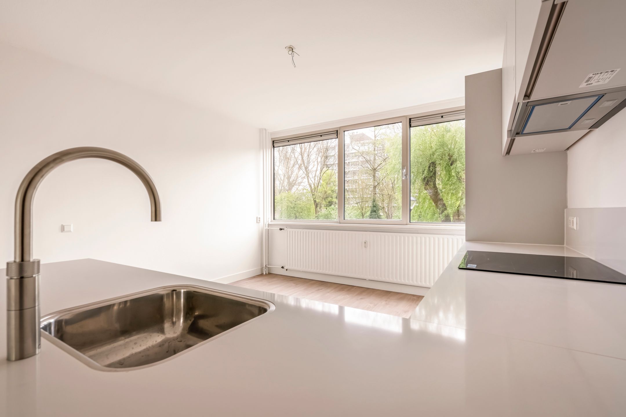 Foto 9 van Laan van Parijs 162