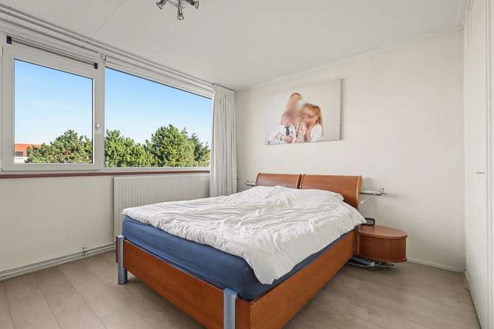 Foto 11 van Clematis 15