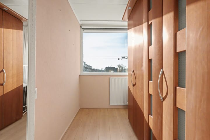 Foto 16 van Clematis 15