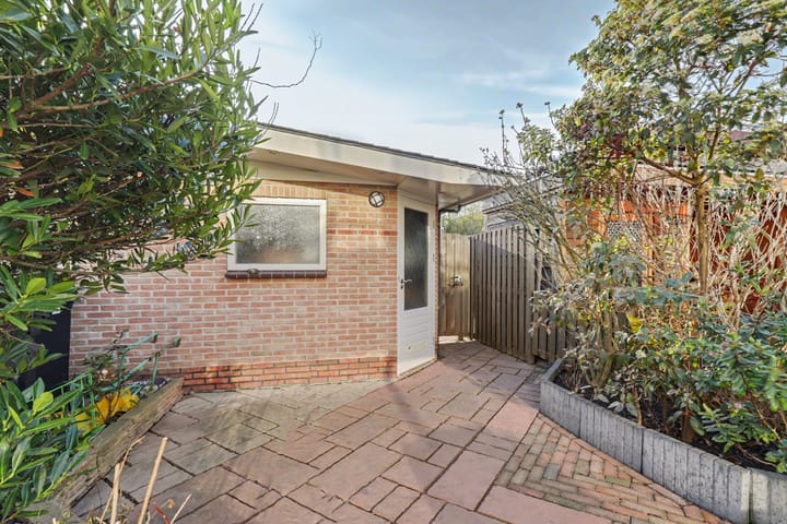 Foto 27 van Clematis 15