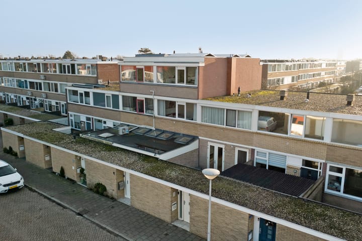 Foto 29 van Clematis 15