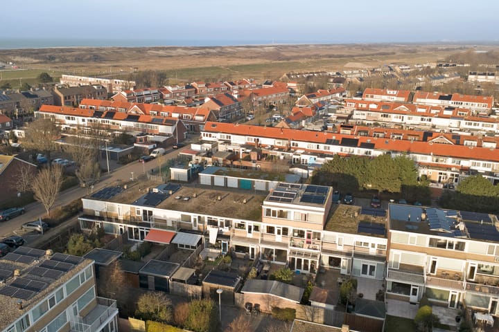 Foto 30 van Clematis 15