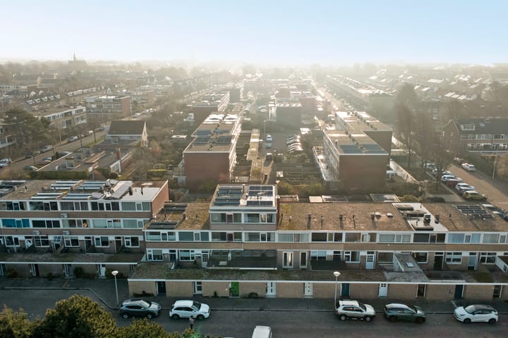 Foto 31 van Clematis 15