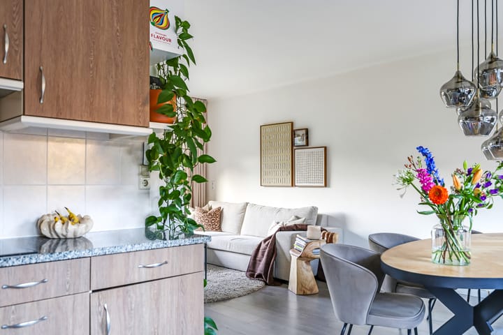 Foto 25 van Rooseveltstraat 16