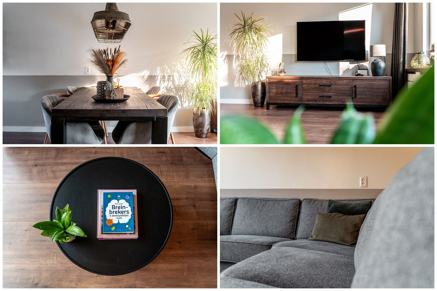 Foto 10 van Houttuin 31