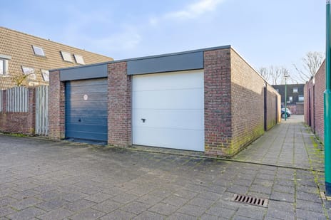 Koraalzwam 16 tertiary image