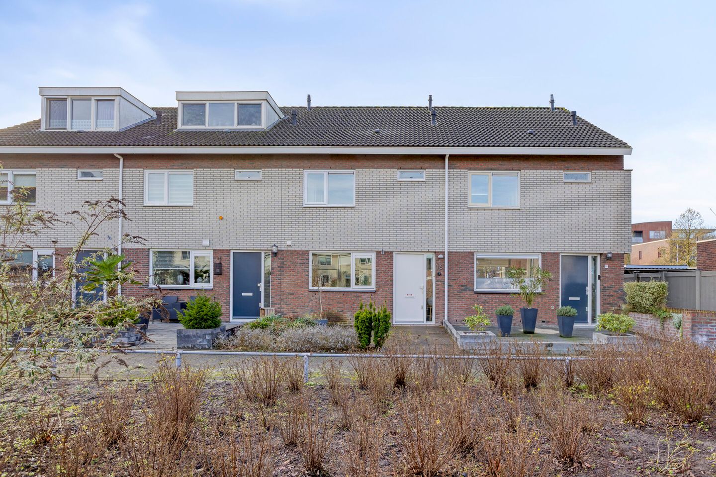 Photo 5 of Koraalzwam 16