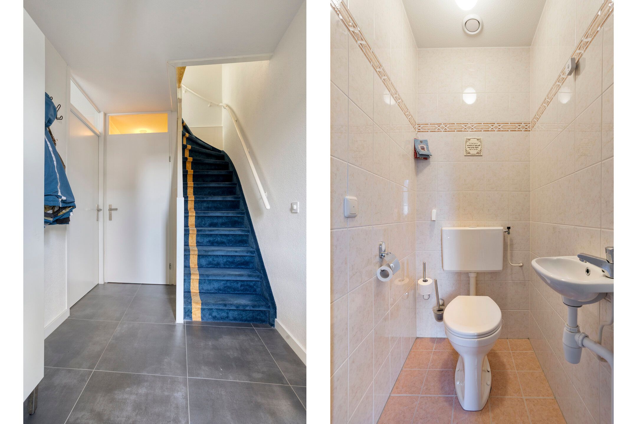 Photo 6 of Koraalzwam 16