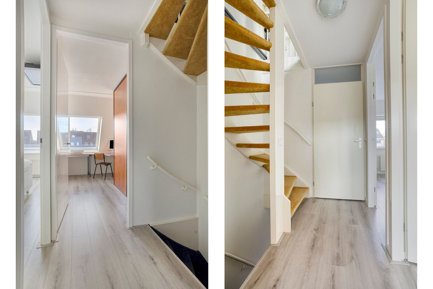 Photo 14 of Koraalzwam 16