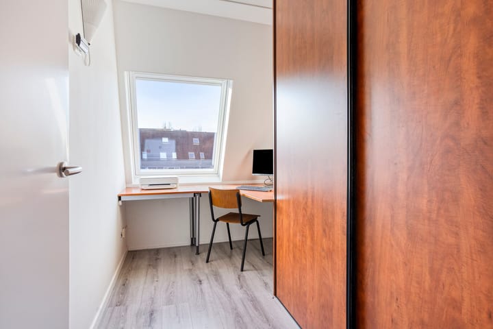 Foto 19 van Koraalzwam 16