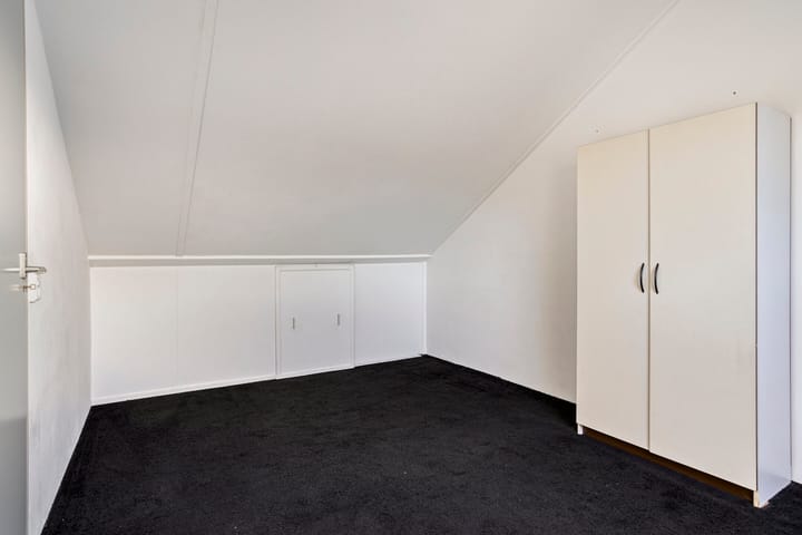 Foto 23 van Koraalzwam 16