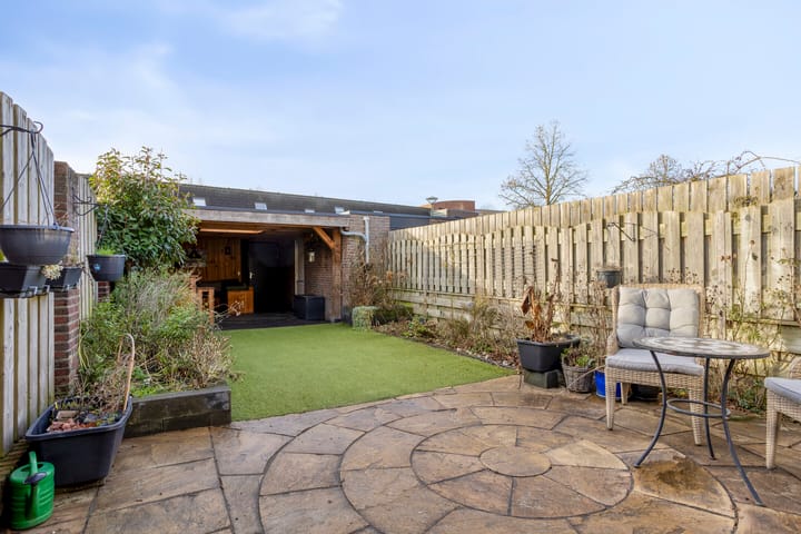 Foto 24 van Koraalzwam 16