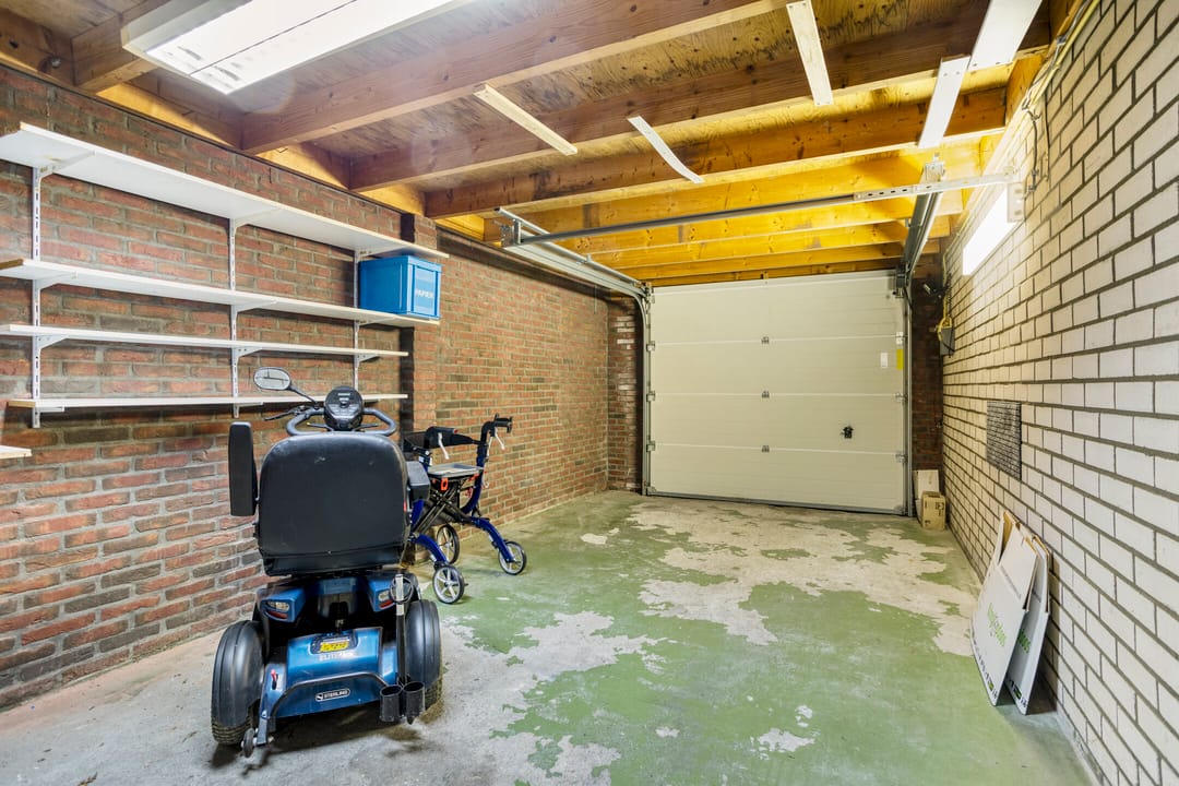 Photo 28 of Koraalzwam 16