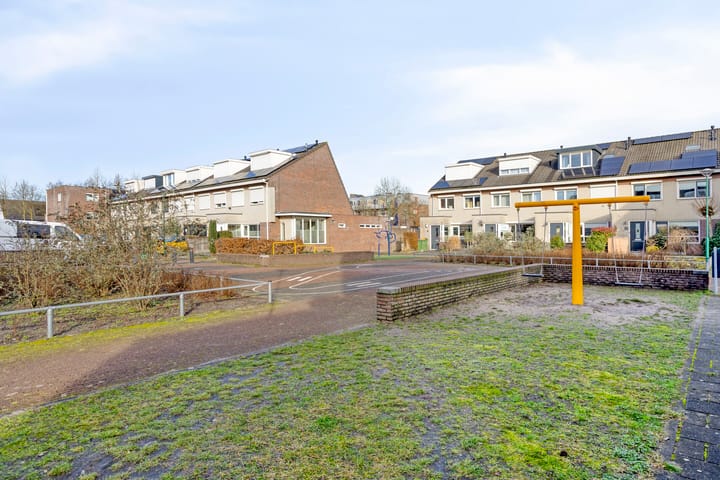 Foto 29 van Koraalzwam 16