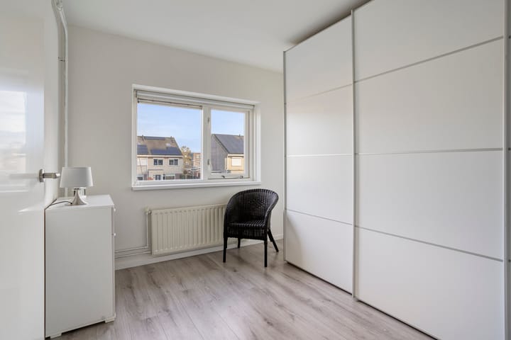 Foto 17 van Koraalzwam 16