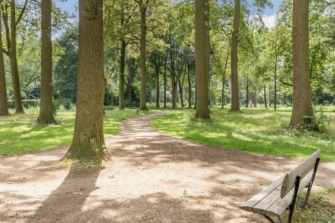 Foto 58 van Zwaluw 3