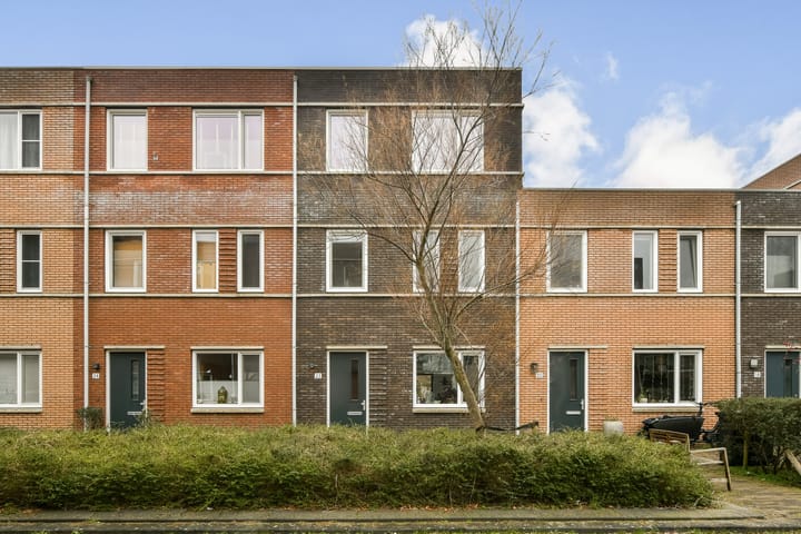 Rini Ottehof 22 main image