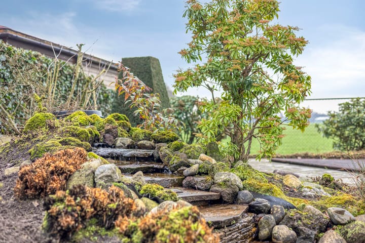 Foto 46 van Thorbeckelaan 246