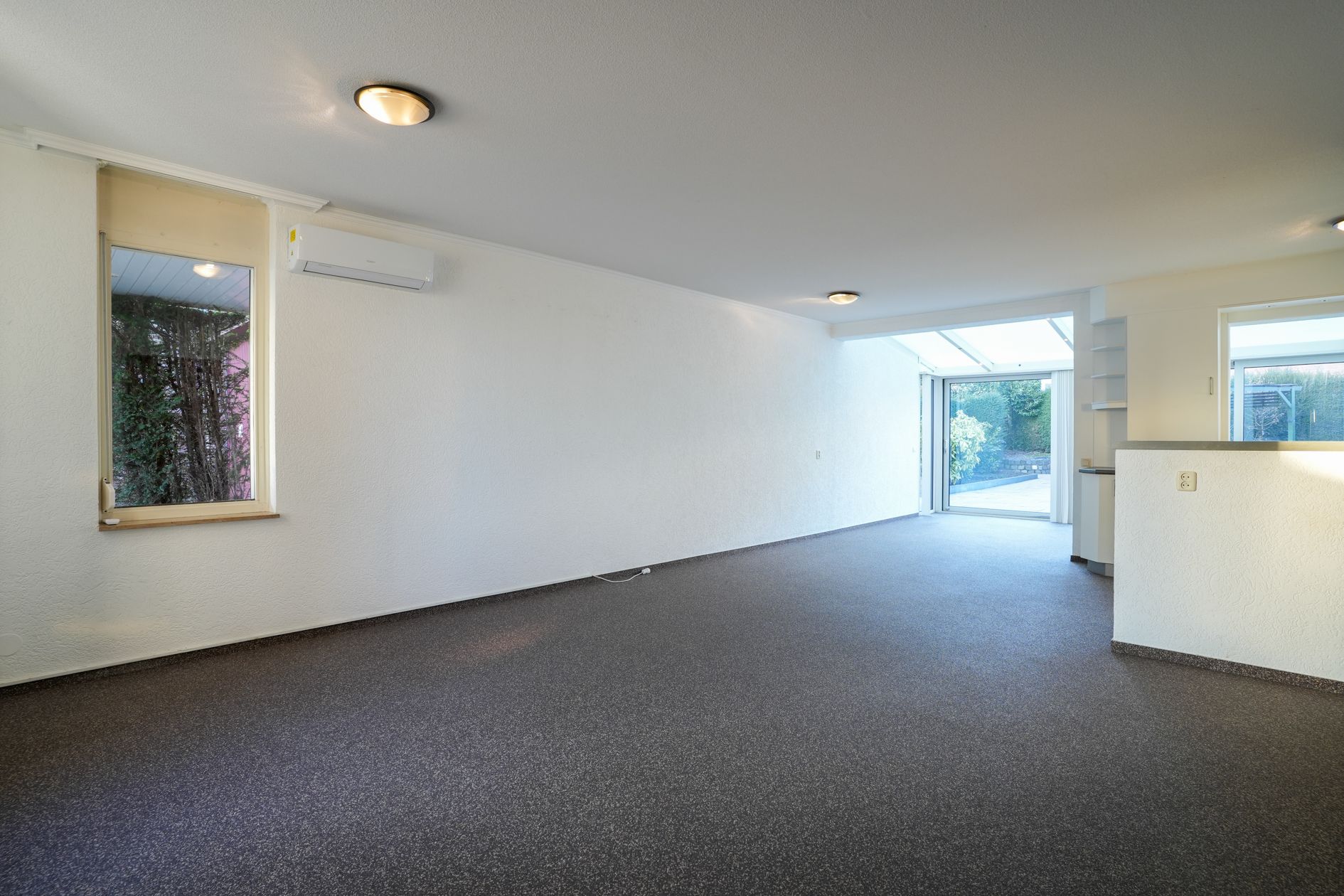 Foto 3 van Weideklokje 12