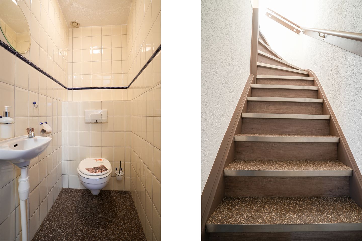 Foto 10 van Weideklokje 12