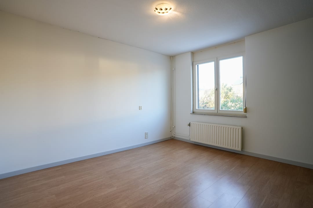 Foto 11 van Weideklokje 12