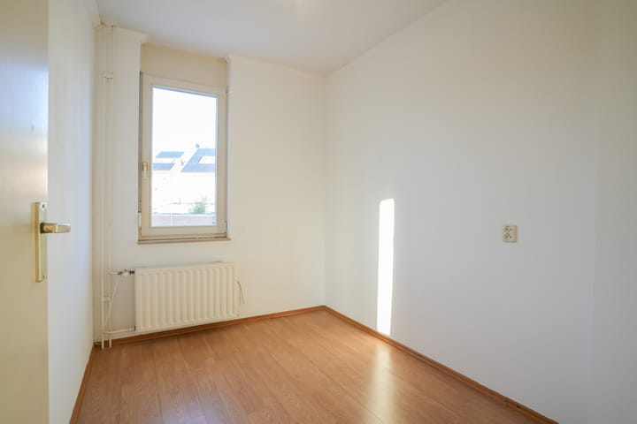 Foto 13 van Weideklokje 12