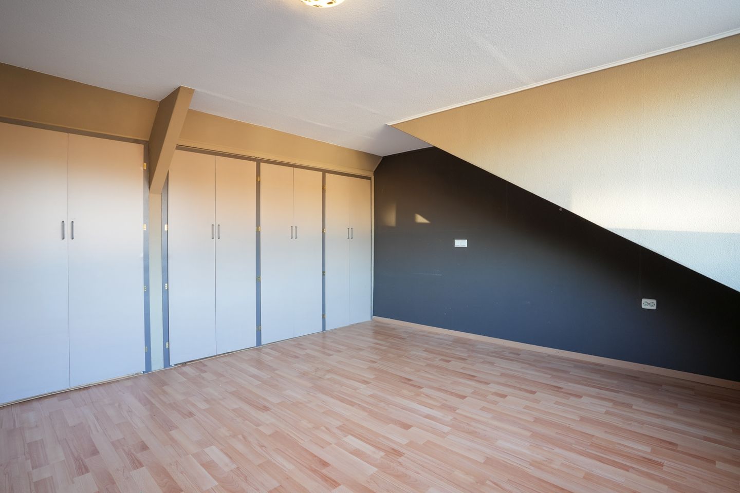 Foto 19 van Weideklokje 12