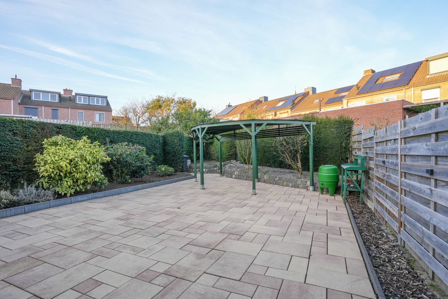 Foto 21 van Weideklokje 12