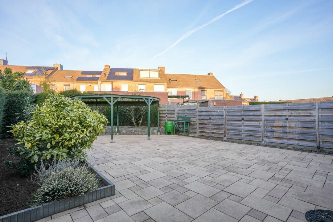 Foto 22 van Weideklokje 12