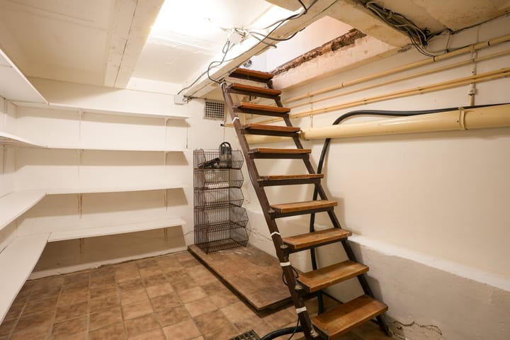 Foto 30 van Weideklokje 12